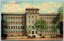 Harlem Hospital postcard
